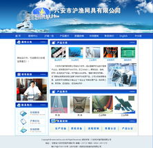 六安市滬漁網具 以OA系統與軟件開發為翼，構建信息化的高效未來